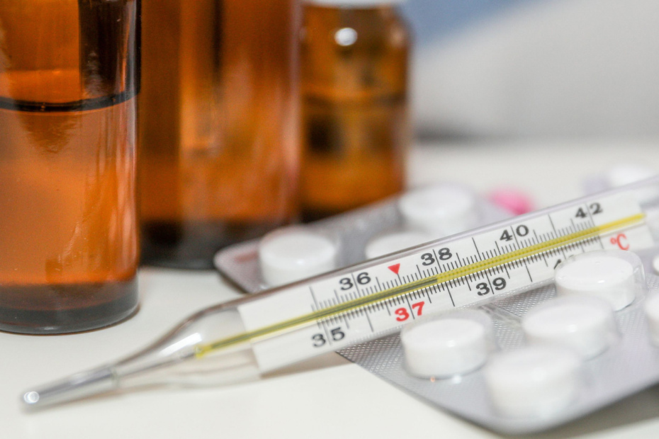    Сергей Булкин/NEWS.ru