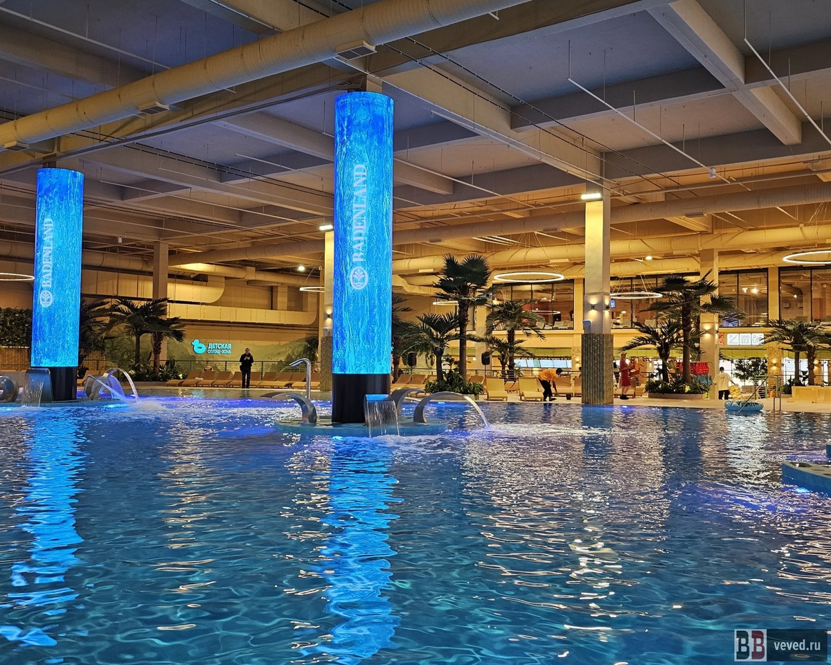     Фото: Максим Ефремов для Вечерних ведомостей