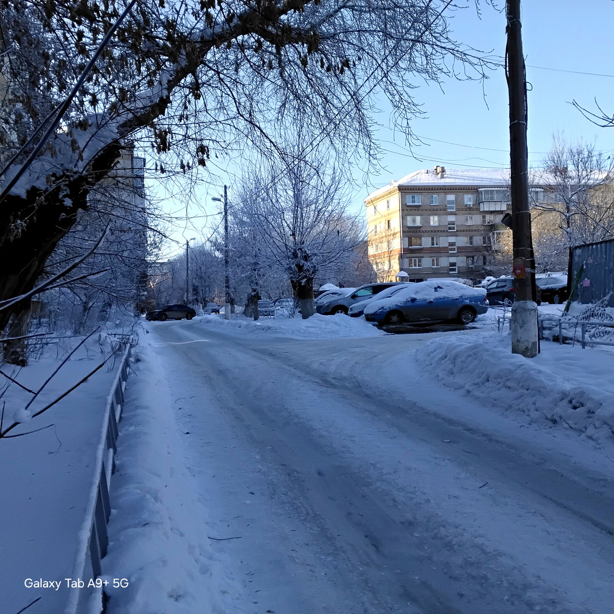 Фото автора. 