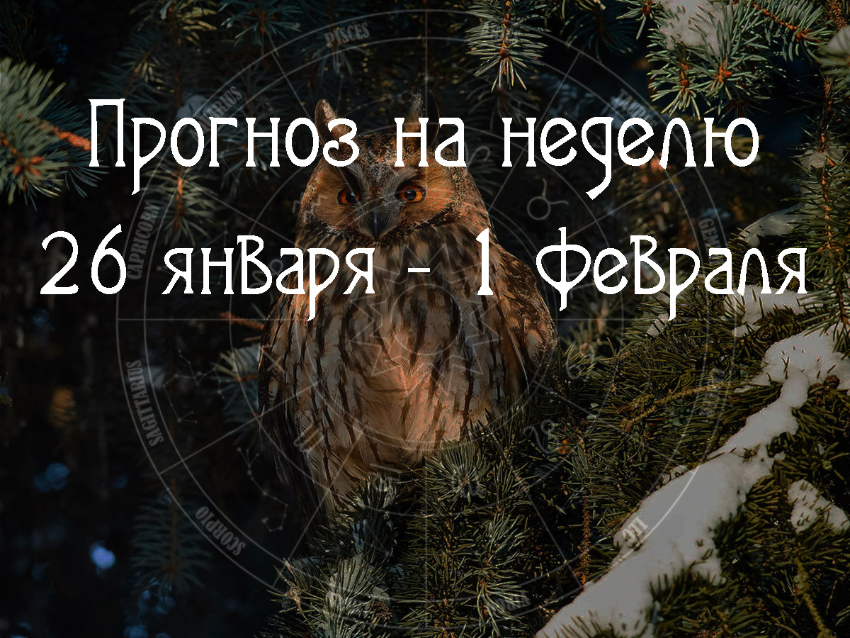 Астрологический прогноз на 26 января – 1 февраля 2026 года