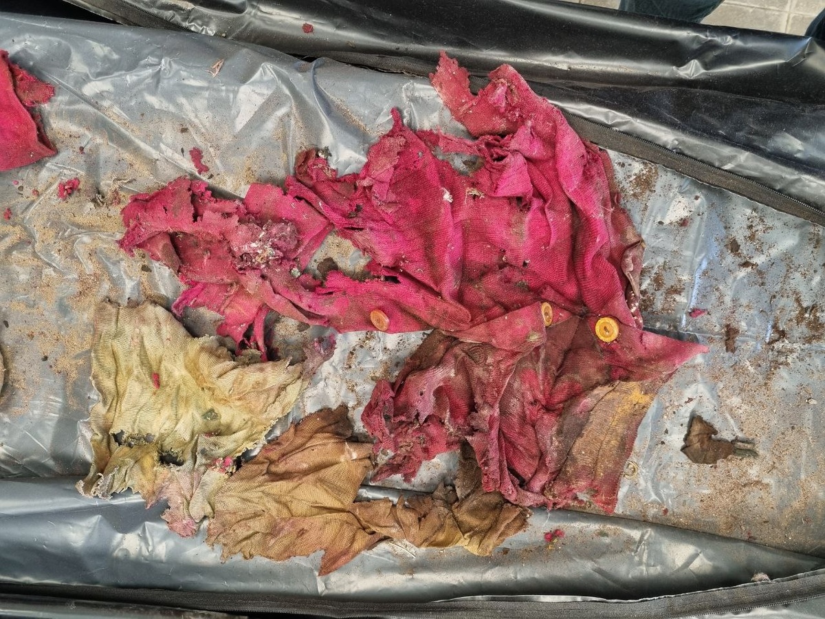    В Беломорске устанавливают личность женщины, скелет которой нашли в подвале© Беломорсккая трибуна