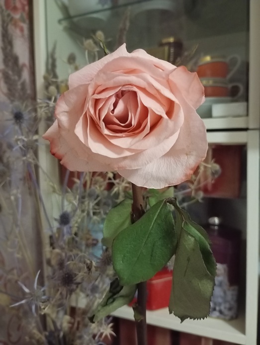 Нижний Новгород, 10 января 2026