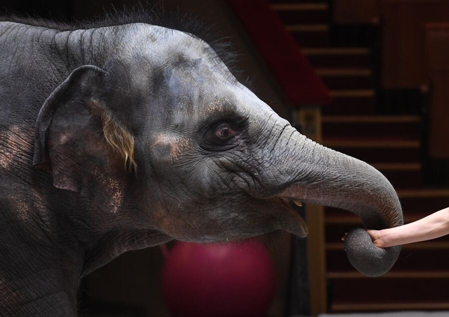     / Источник: © Екатерина Чеснокова/РИА Новости