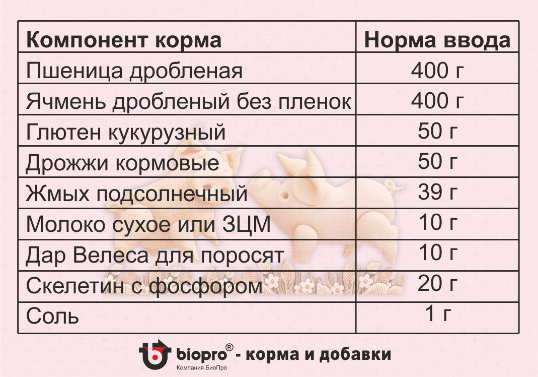 Премикс ДВ для поросят можно вводить как в сухие смеси, так и во влажные мешанки и кашки. Но влажный корм должен быть не горячее 40-45ºС, иначе пробиотики и витамины просто разрушатся под воздействием высоких температур, и пользы от такого корма будет меньше. Но мы всё-таки рекомендуем сухие корма – они стимулируют рост ворсинок, впитывающих питательные вещества в кишечнике. Да и прокисает не так быстро, как мешанки.