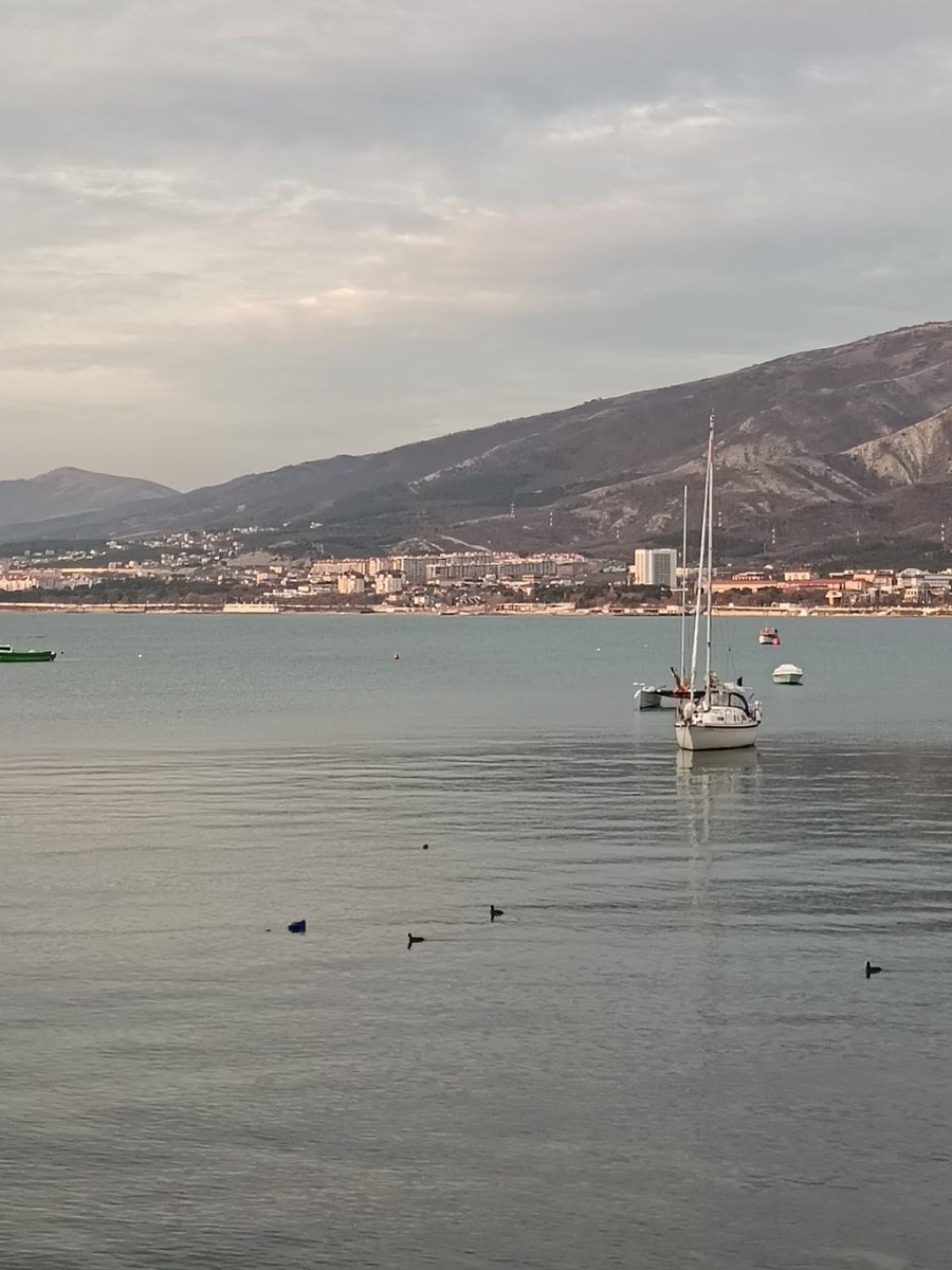 Геленджик 8 января 2025