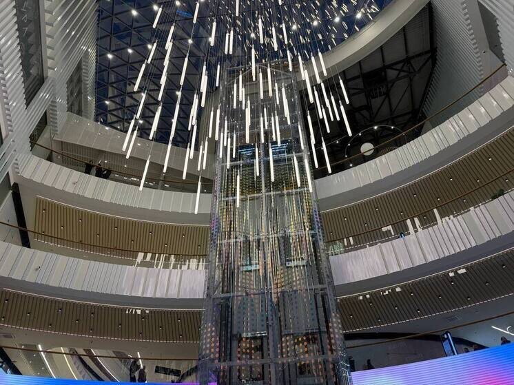     Фото: архив МК в Питере.