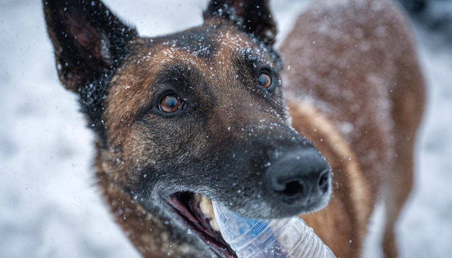    Создано ИИ/NEWS.ru