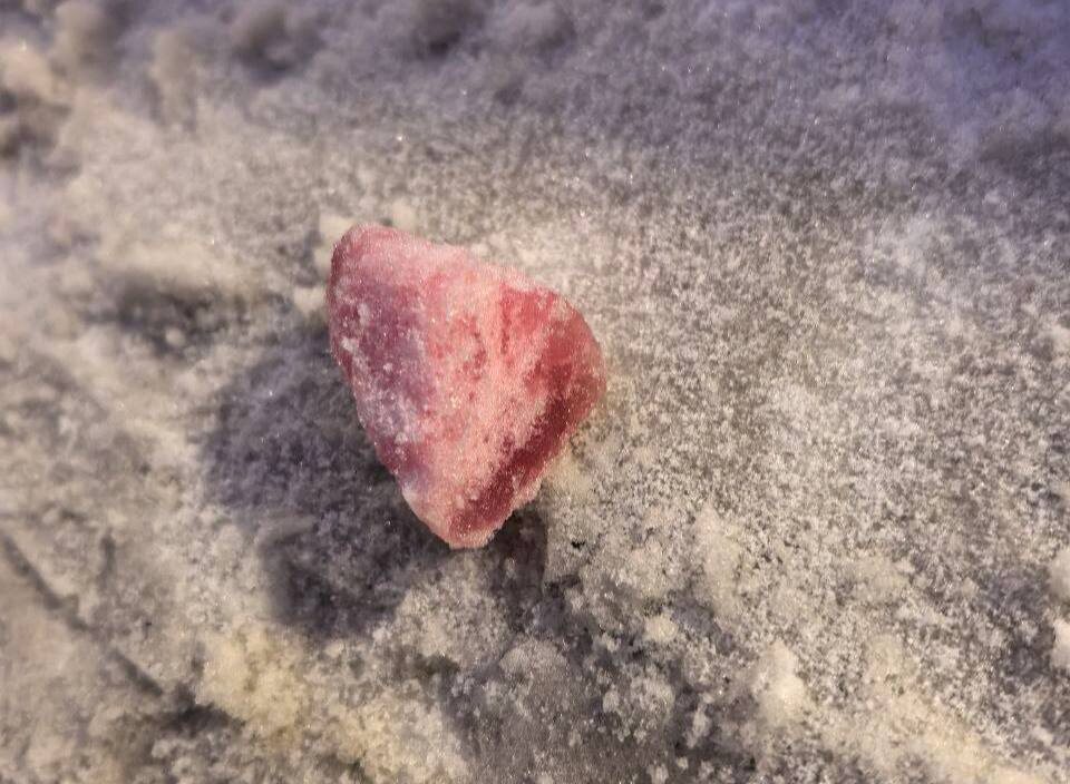 Фото: соцсети