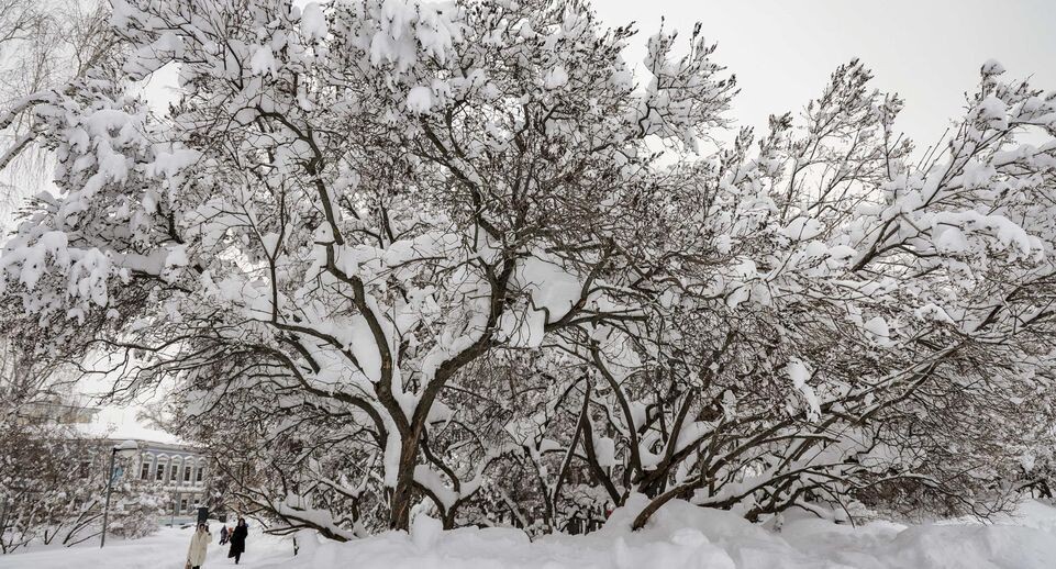    Andrey Titov/Business Online / www.globallookpress.com