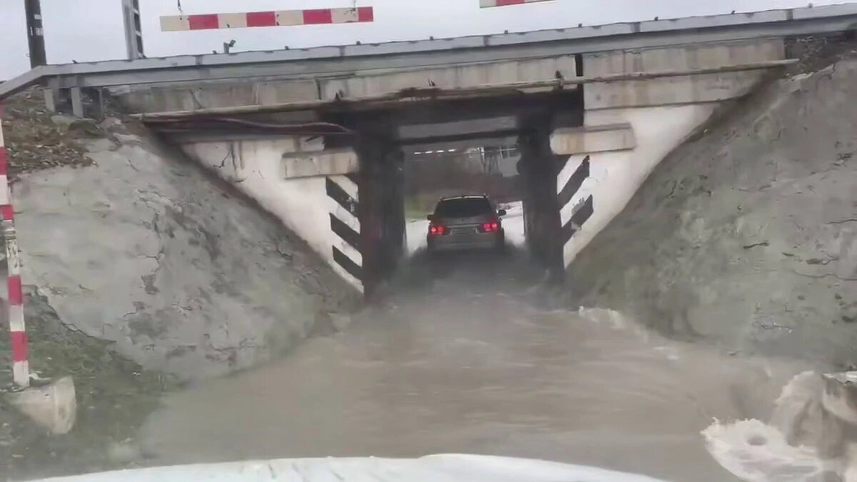    Фото t.me/primorskaya_adm