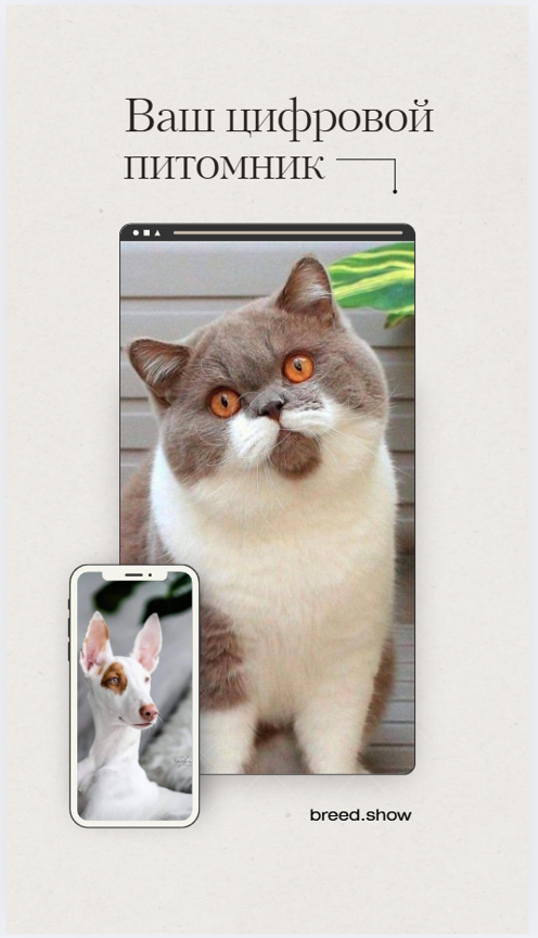 Цифровой питомник