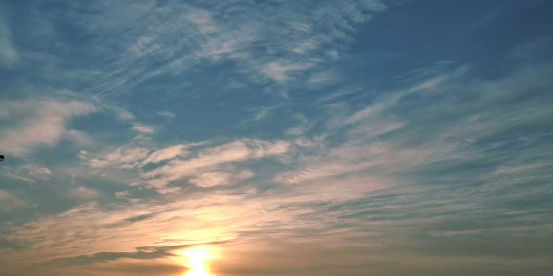 Последний огурец без соли доедаем