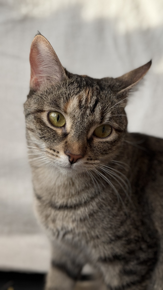 Вот она - Лана