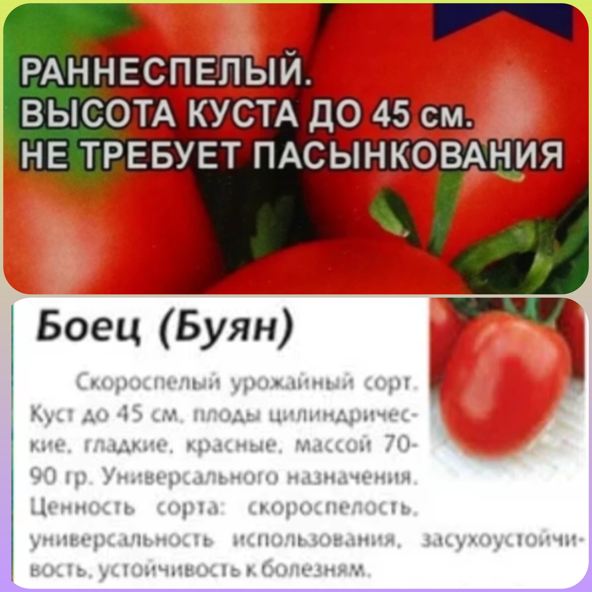 Коллаж автора