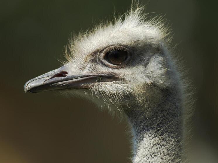     © Richard Weidinger/imageBROKER.com/Global Look Press