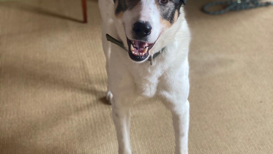 ✨ Хорошие новости, которые мы так ждали ✨