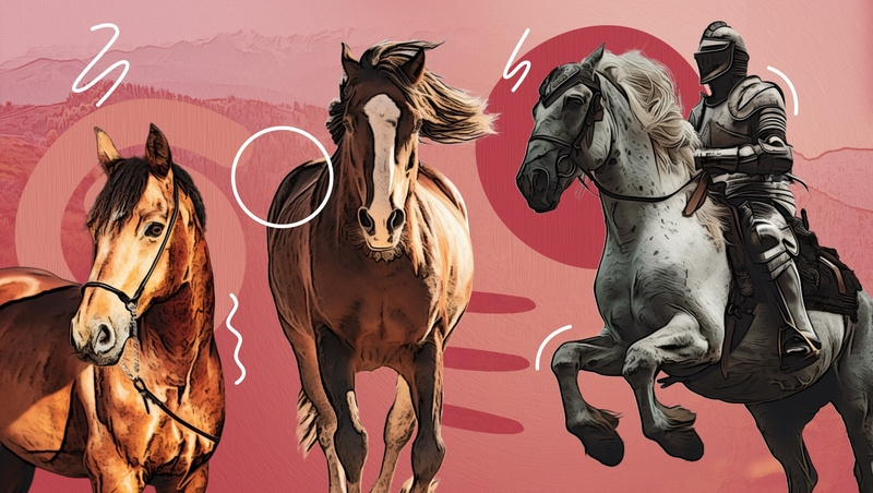      Фото: ИА «Победа26»