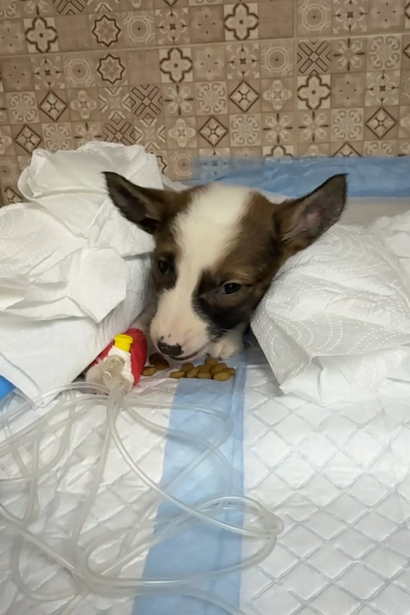 Сати сегодня! 🙏