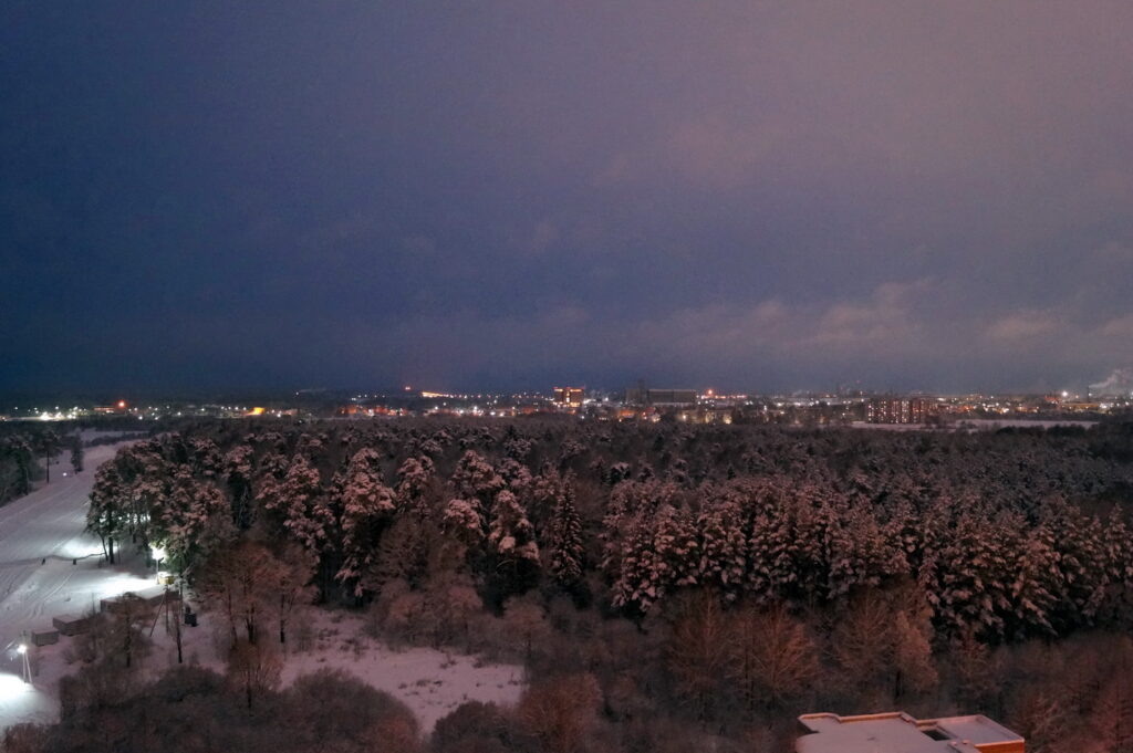    Анастасия Петрова