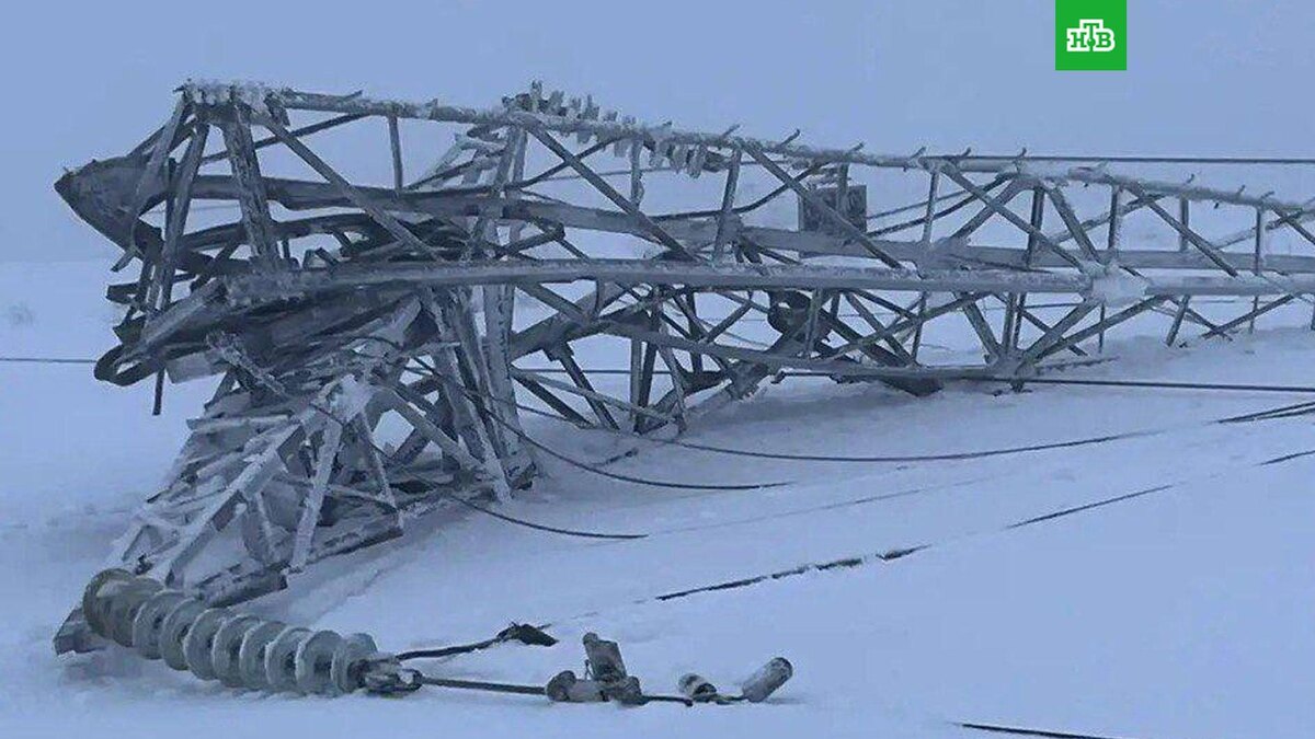    Фото: andrey_chibis / t.me