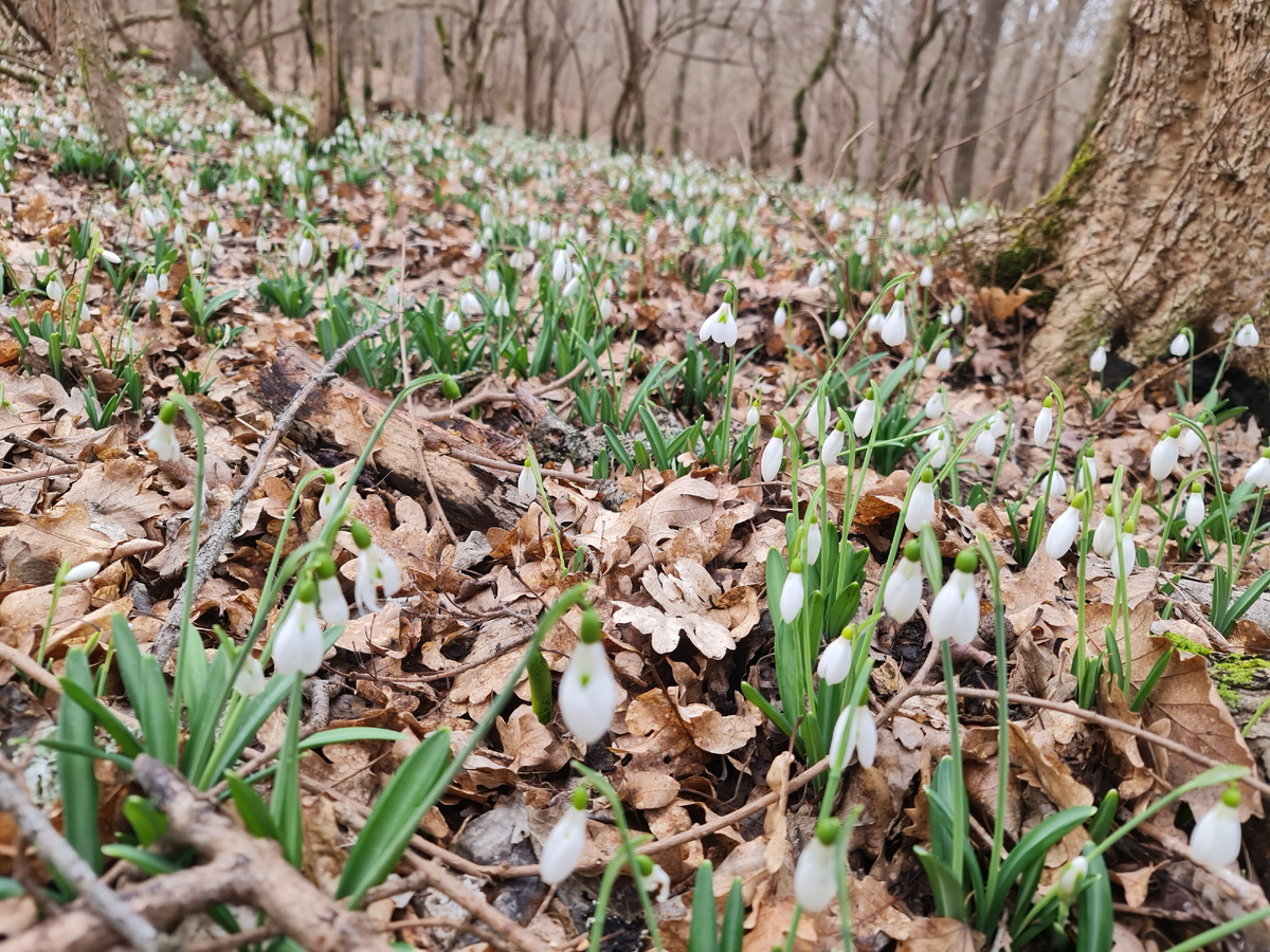 Так будет совсем скоро