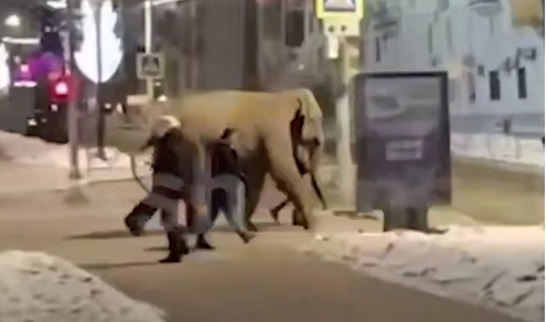    Скриншот видео ТГ-канала Mash