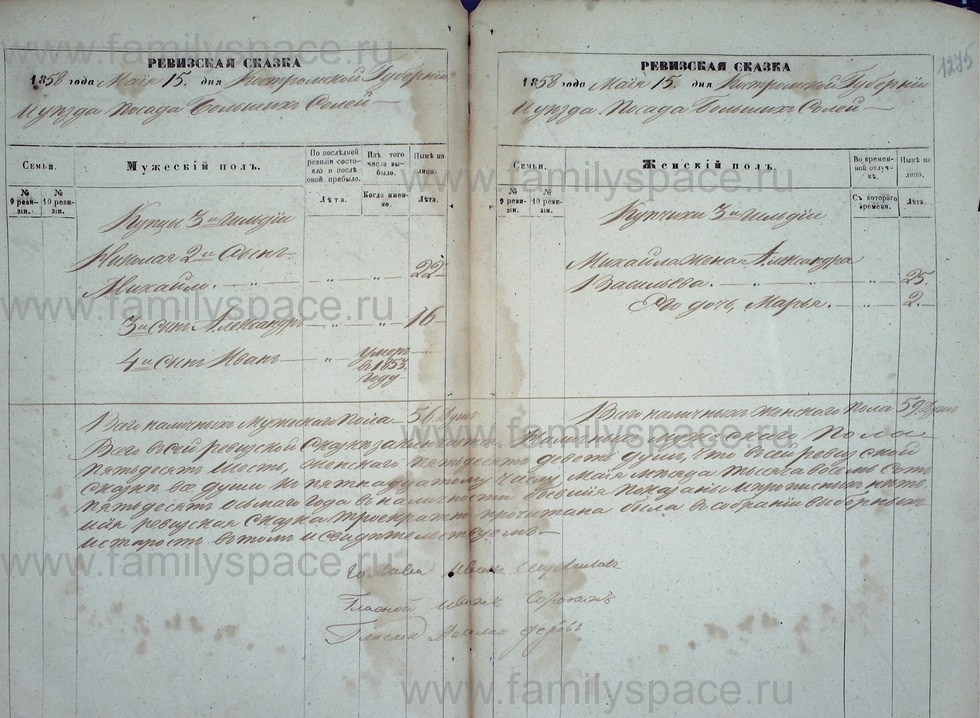 Пример РС Костромской губернии Костромского уезда посада Большие Соли - фото из открытых источников https://arc.familyspace.ru/archive/Revizskie_skazki_o_kupcah_g_kostroma_g_sudislavl_i_pos_bolshie_soli_kostromskogo_uezda_204/p1284