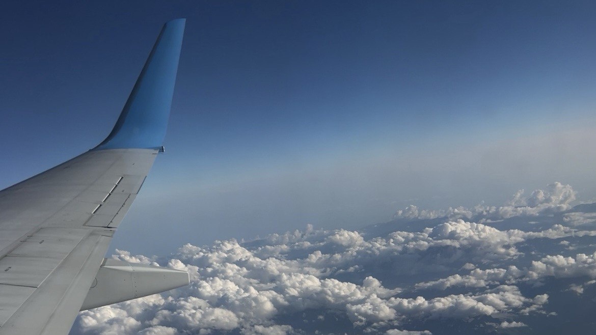    Анна Сальникова