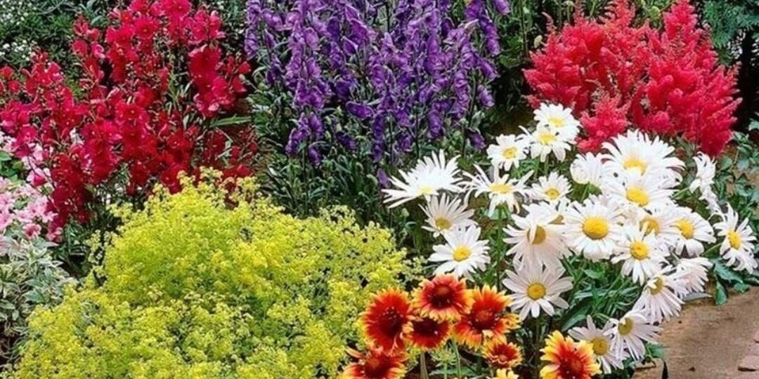 Просто и стильно: 10 красивых многолетников с минимальным уходом