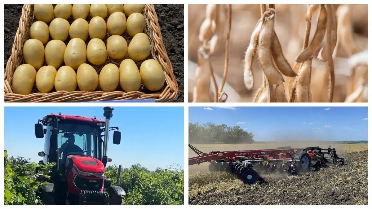 Фото: agravia.org / АГРАВИЯ
Некоторые победители конкурса «Лучший продукт выставки АГРАВИЯ 2026» (фото иллюстративное)