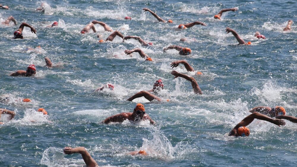    Фото: EvrenKalinbacak/Shutterstock/Fotodom