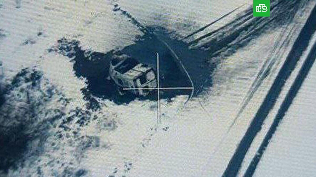    Фото: SALDO_VGA / t.me