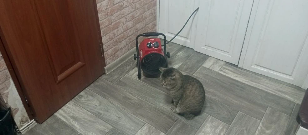 У Васи лапы от подсчётов замерзли