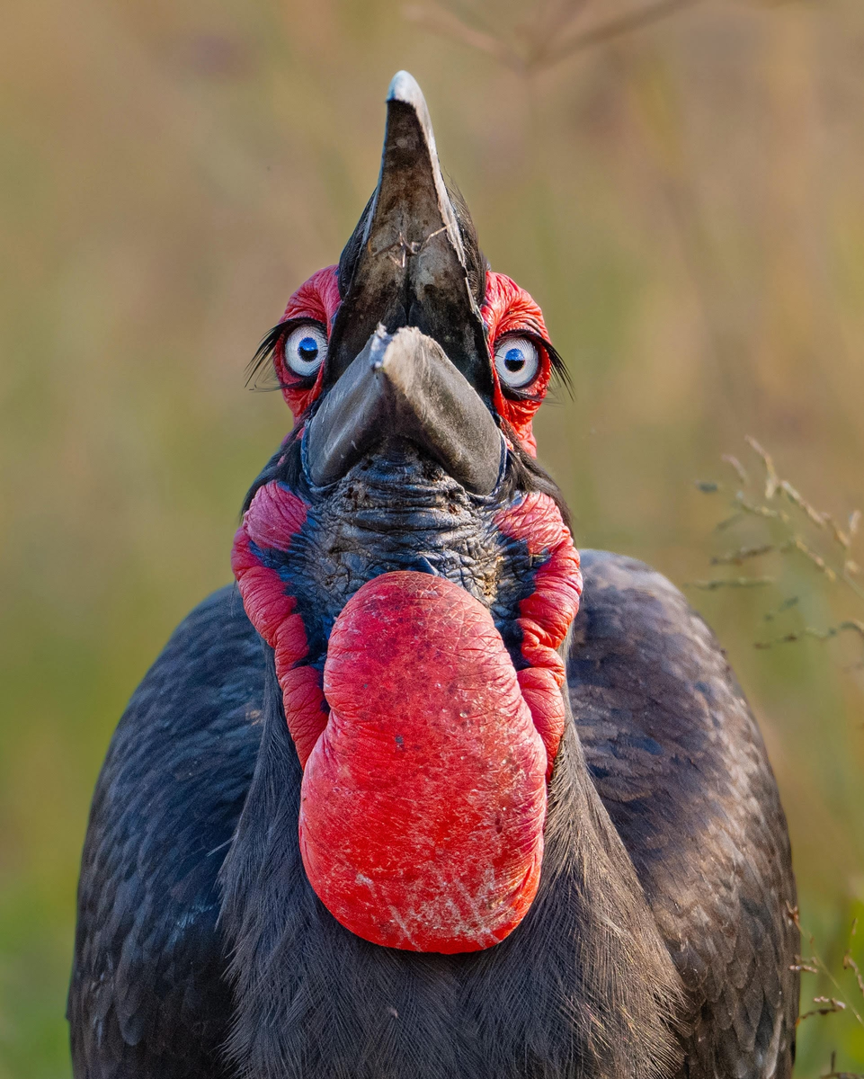 Та самая Варвара Степановна из бухгалтерии, взгляда которой боится даже начальник. 