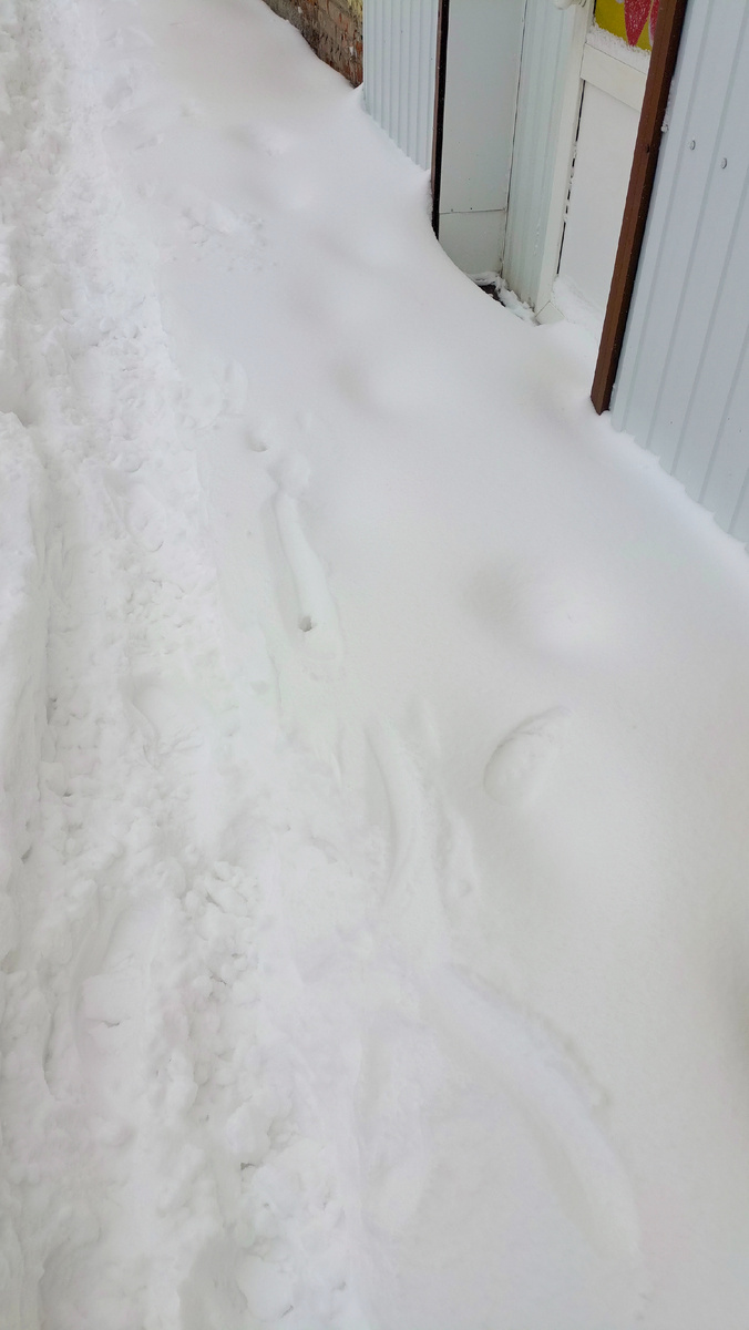 Фото автора.