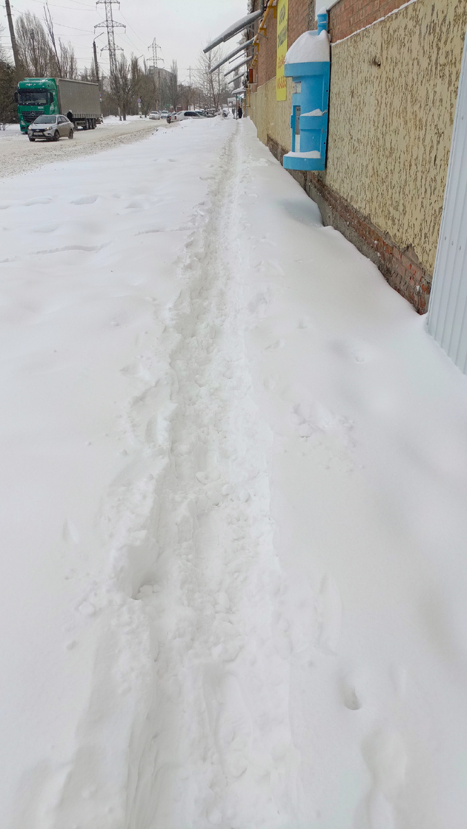 Фото автора.