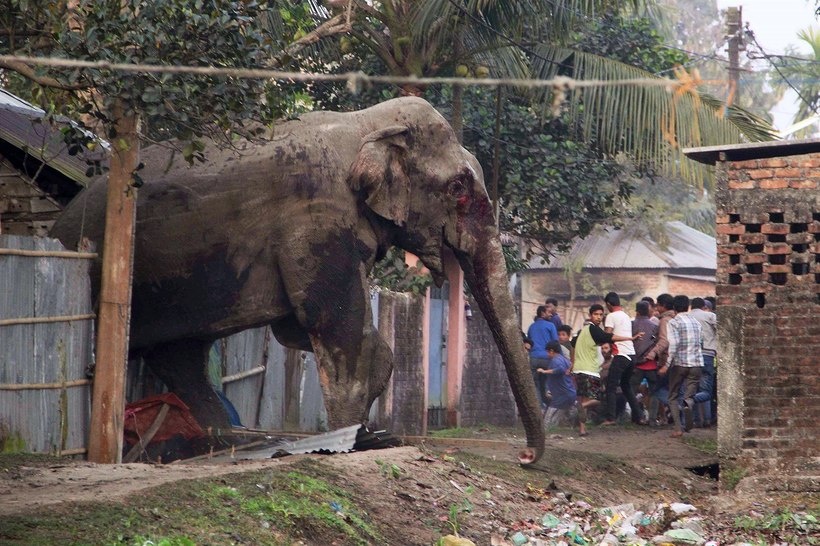 фото: яндекс.