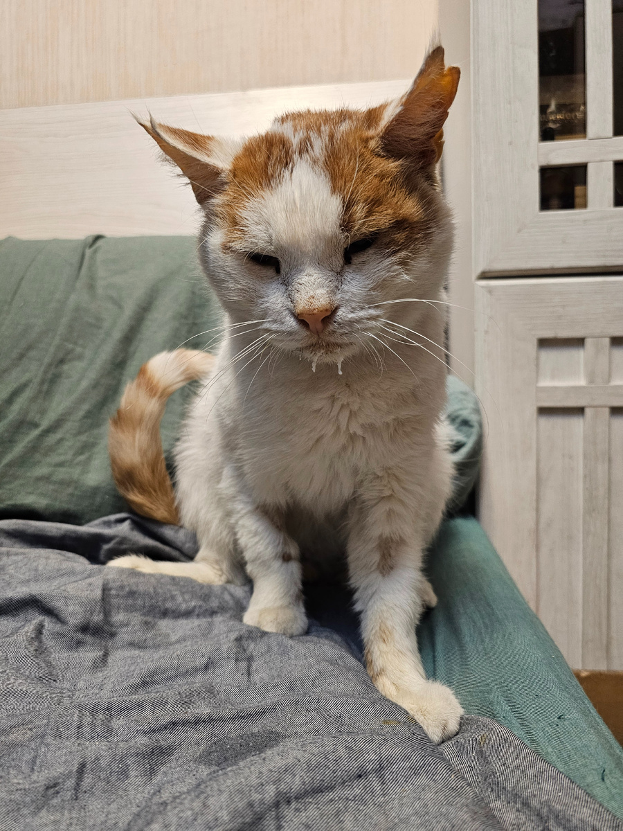 Фото автора. Боинг пожелтел, ему надо в клинику сдать анализы и на осмотр к врачу.