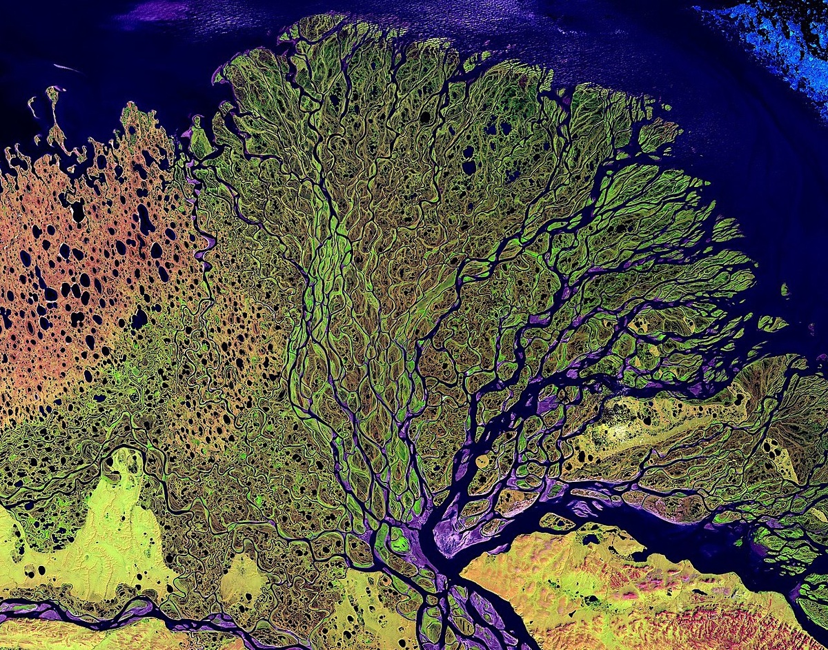 Спутниковый снимок дельты одной из крупнейших рек мира – Лены, разветвляющейся на множество русел с водой, несущей стоки в океан. Источник: ru.wikipedia.org
