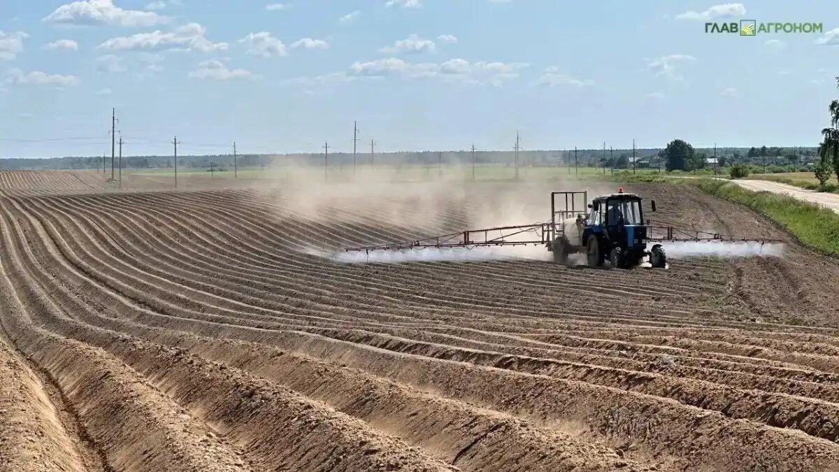 Фото:© Владимир Исаенко / Glavagronom.ru
В России активно обсуждаются, но пока не реализованы проекты производства действующих веществ пестицидов