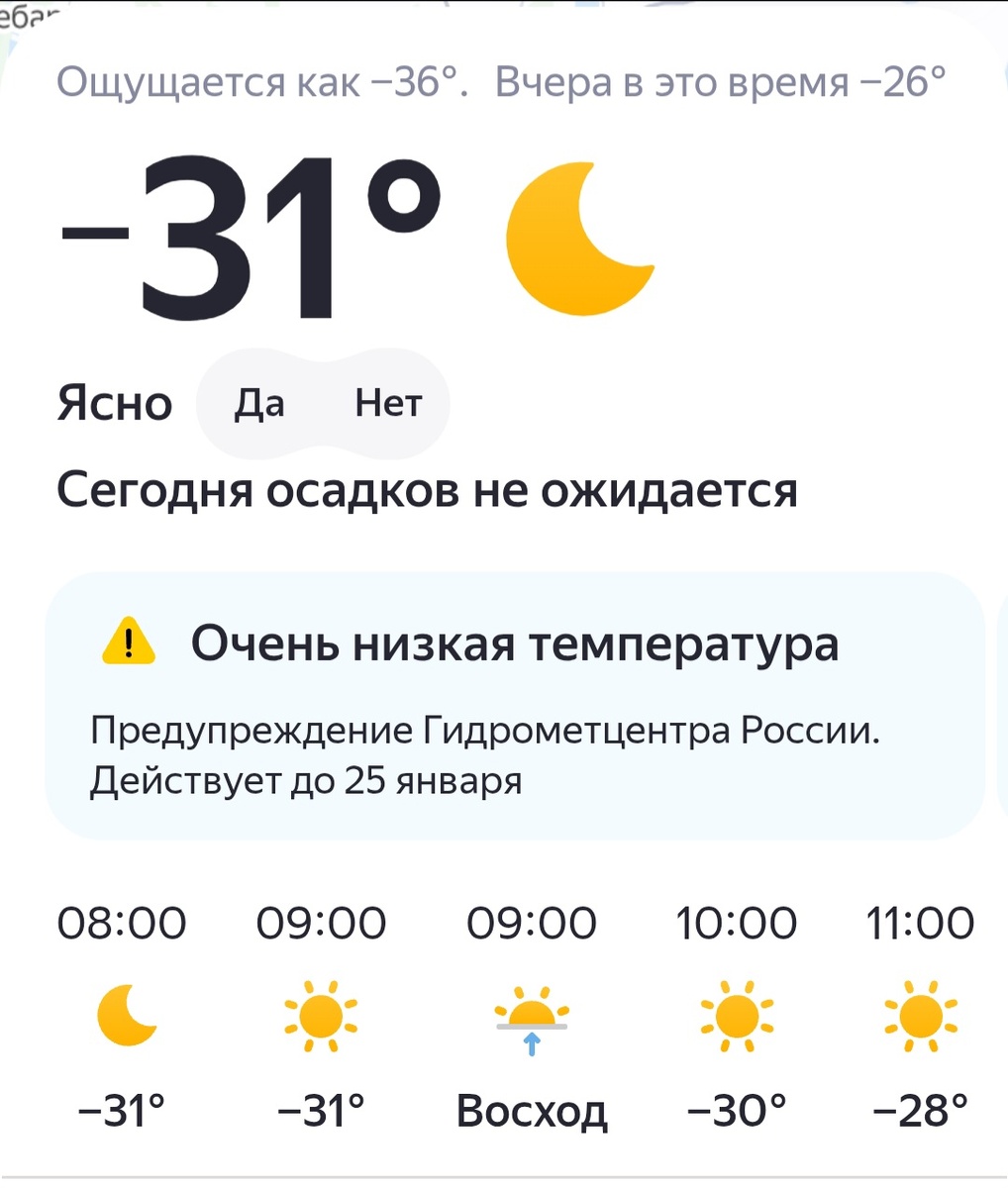 А на улице дубак! Фото автора