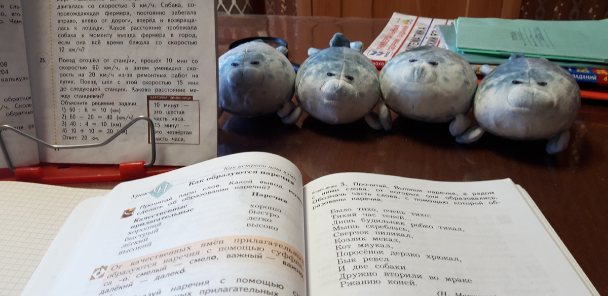 Вот такие тюлени присутствовали у нас на уроках. Фото автора