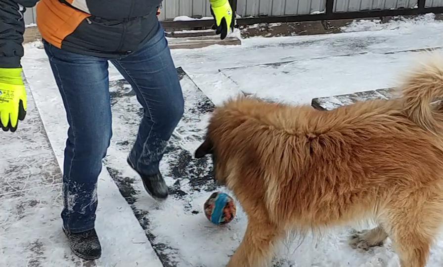 Как я стала вратарем...