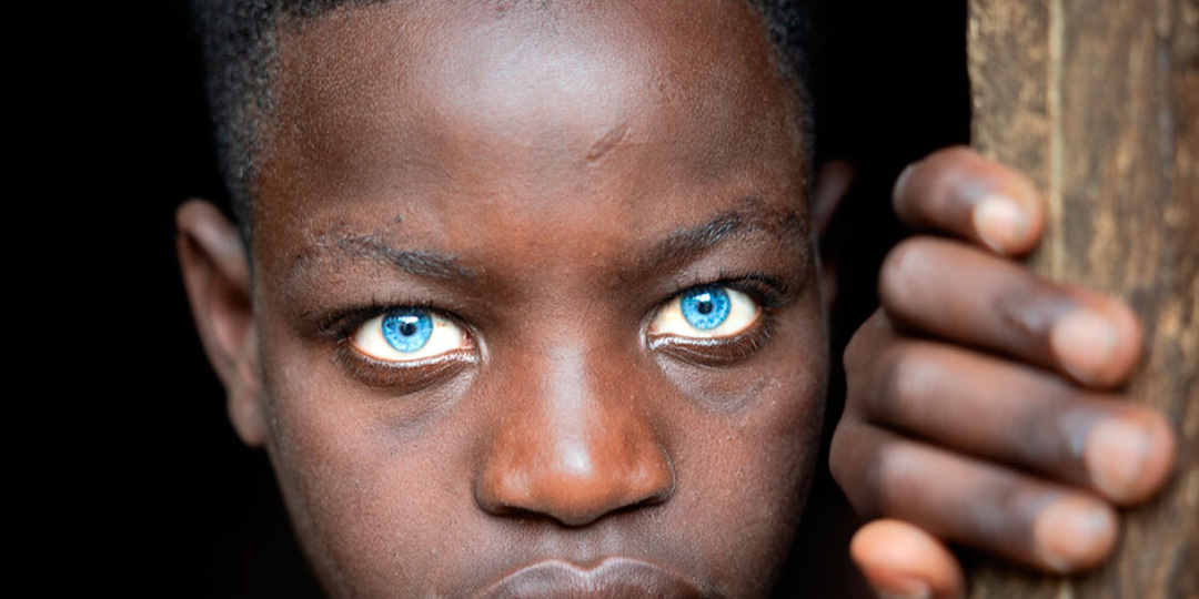 Должны ли родители умереть за своего ребёнка? Философия самого жёсткого долга