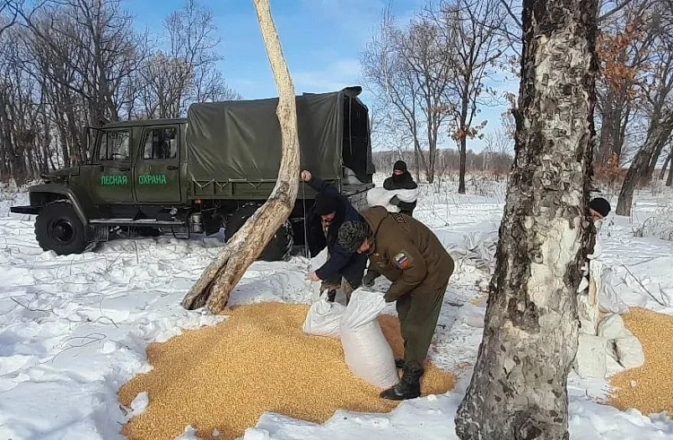 Фото — министерство лесного хозяйства, охраны окружающей среды, животного мира и природных ресурсов Приморского краяAdmin  📷
