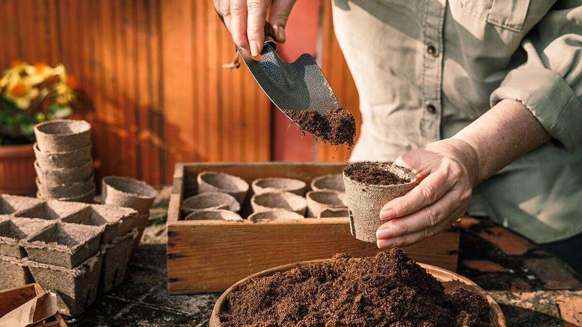    Фото: Shutterstock