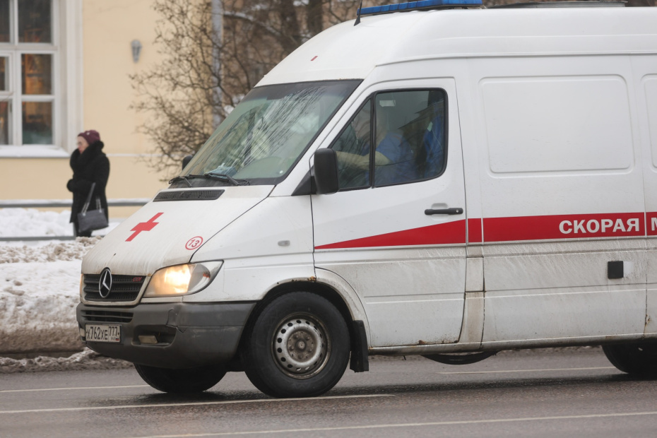    Наталья Шатохина/NEWS.ru