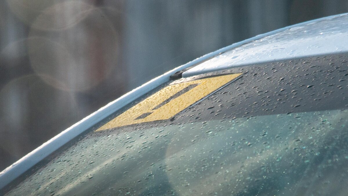 Фото: Svetlana Vozmilova/globallookpress.com