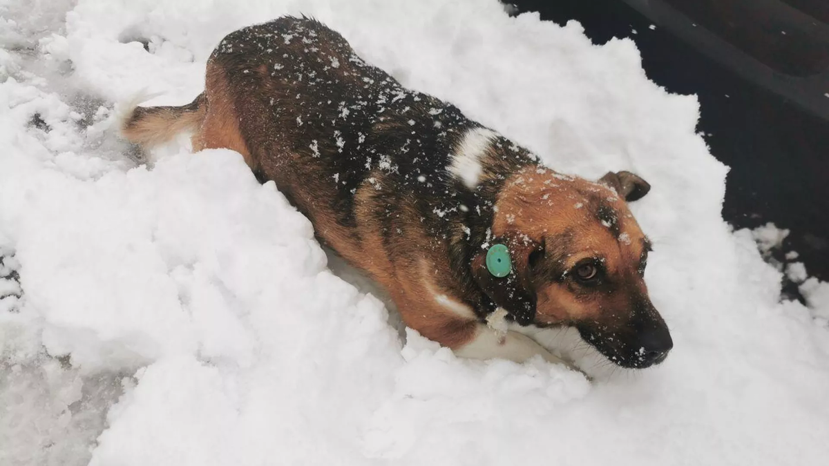 © photo: Sputnik / Stringer