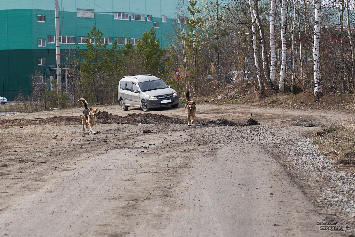    Фото: Лидия Аникина © ИА «Уральский меридиан»
